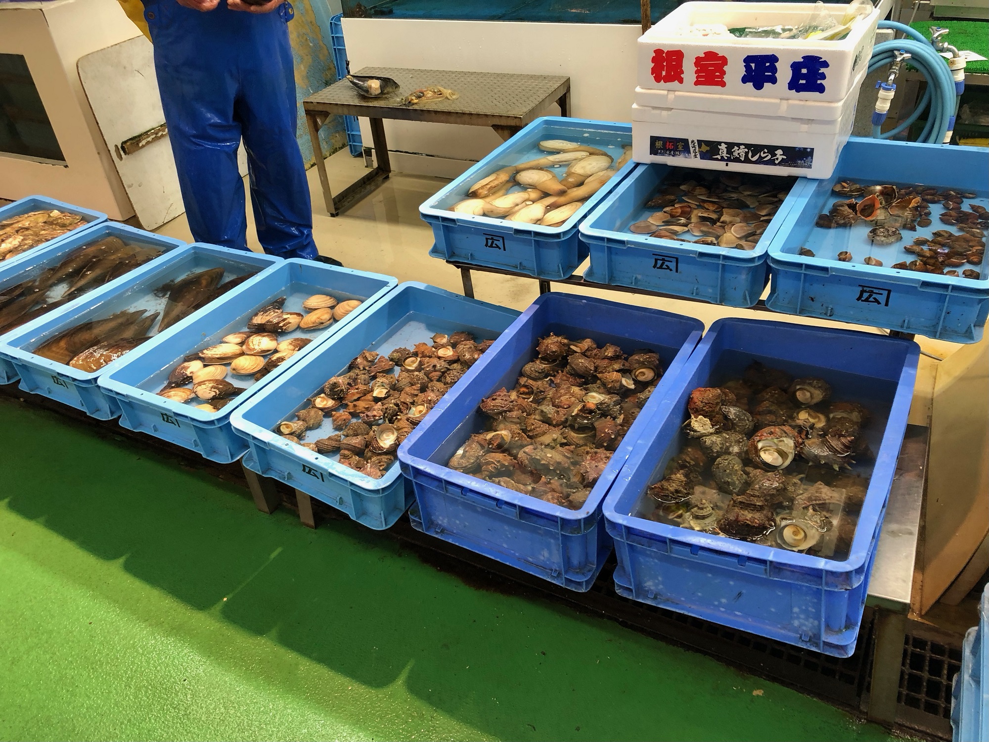 Nagoya fish market clams