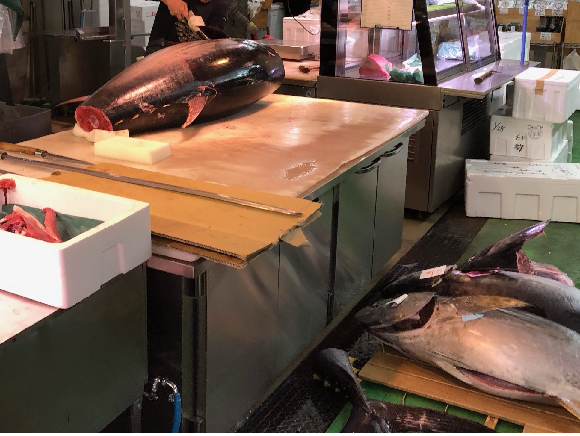 nagoya fish market tuna cut