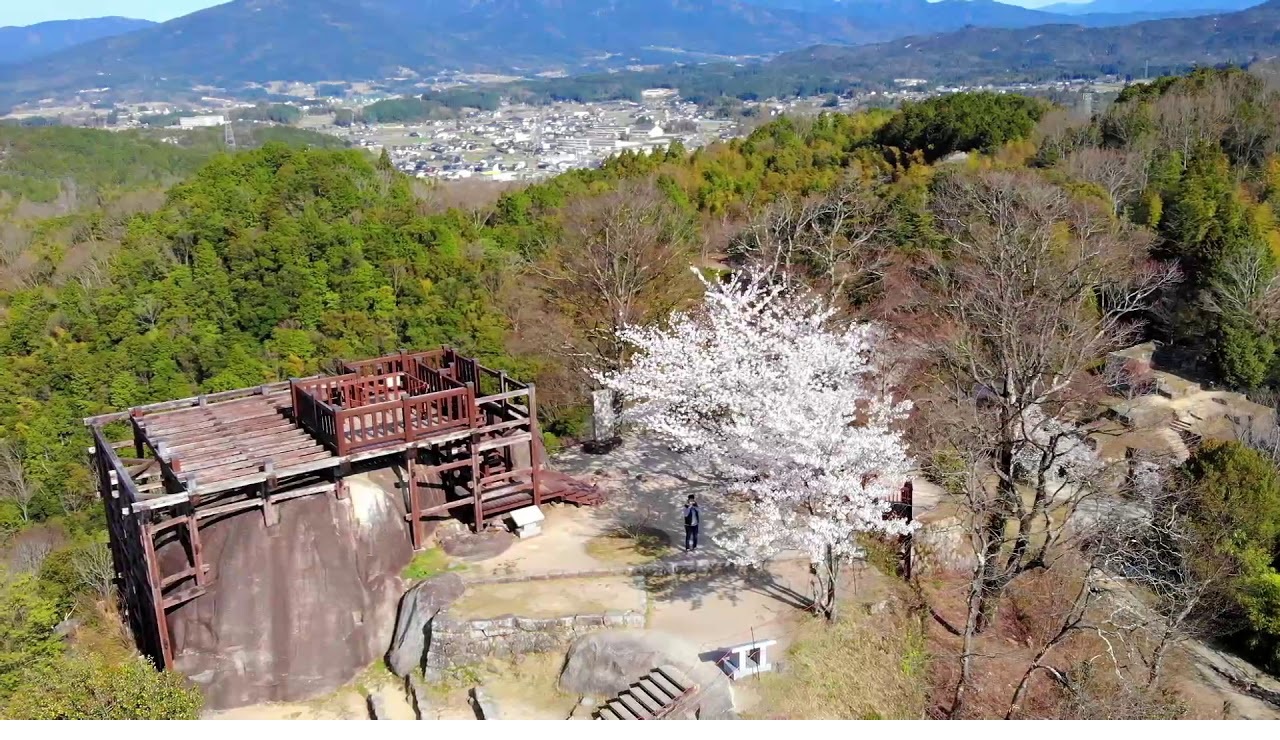 Remaining of Naegi castle