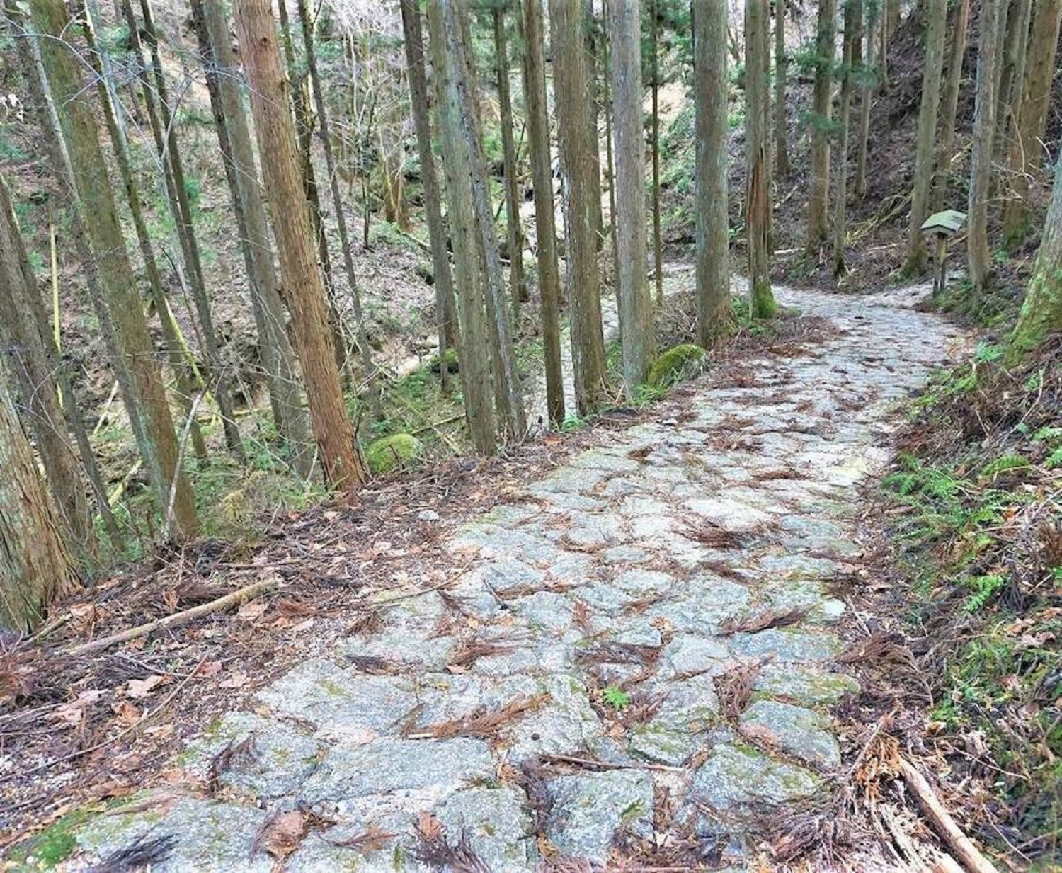 Nakasendo trail