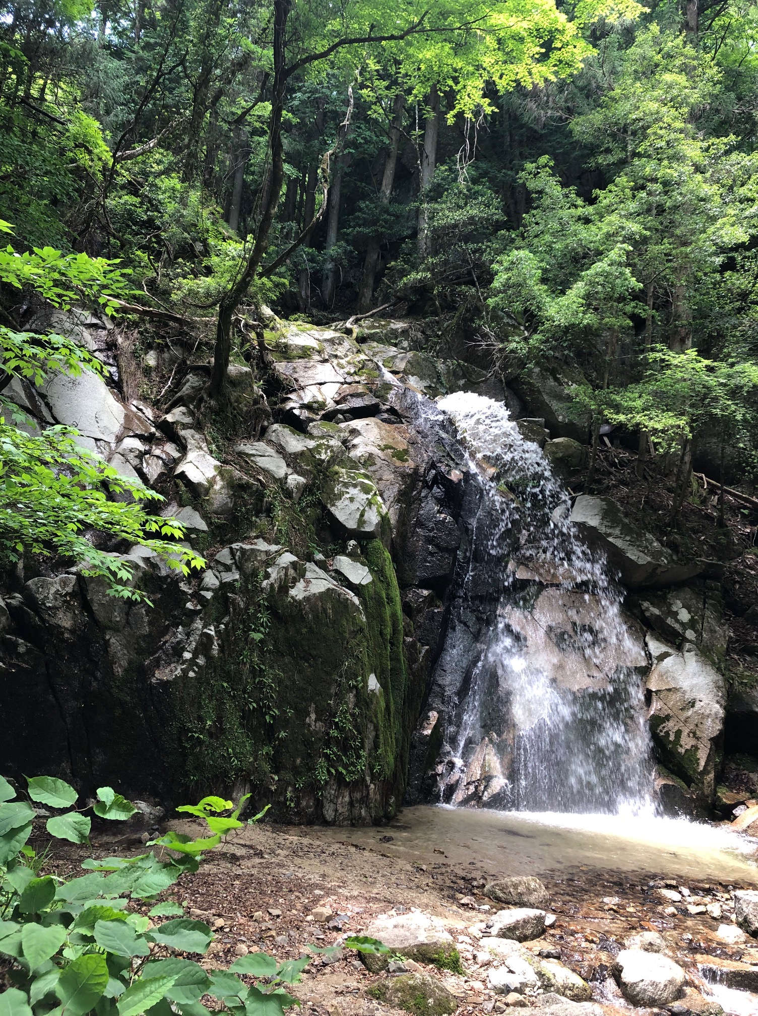 Waterfall close by Yoko's mountain house