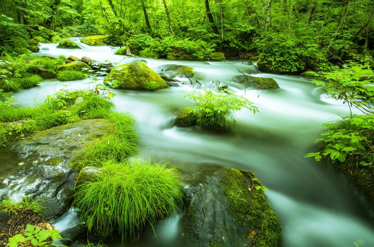 Oirase river